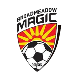 Logo Broadmeadow Magic
