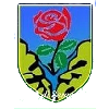 Logo ASD Seravezza Calcio