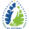 Brazilian Paranaense League