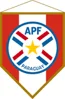 Paraguayan Cup