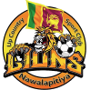 Logo Up Country Lions SC