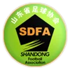 Chinese WeiFang Women's Cup